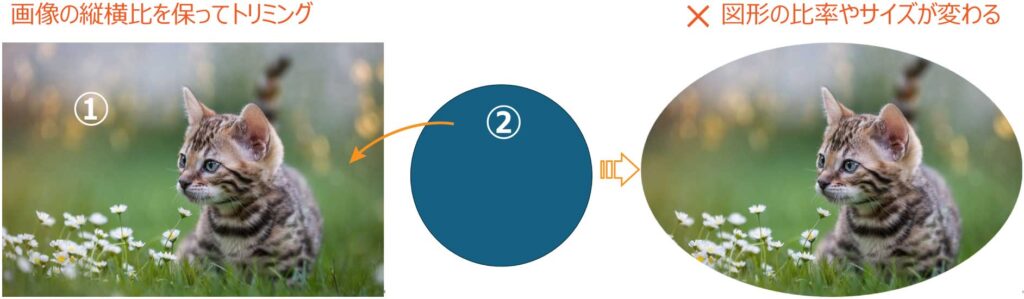 画像の縦横比を保ってトリミングした図
