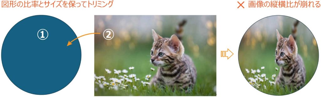 図形の比率とサイズを保ってトリミングした図